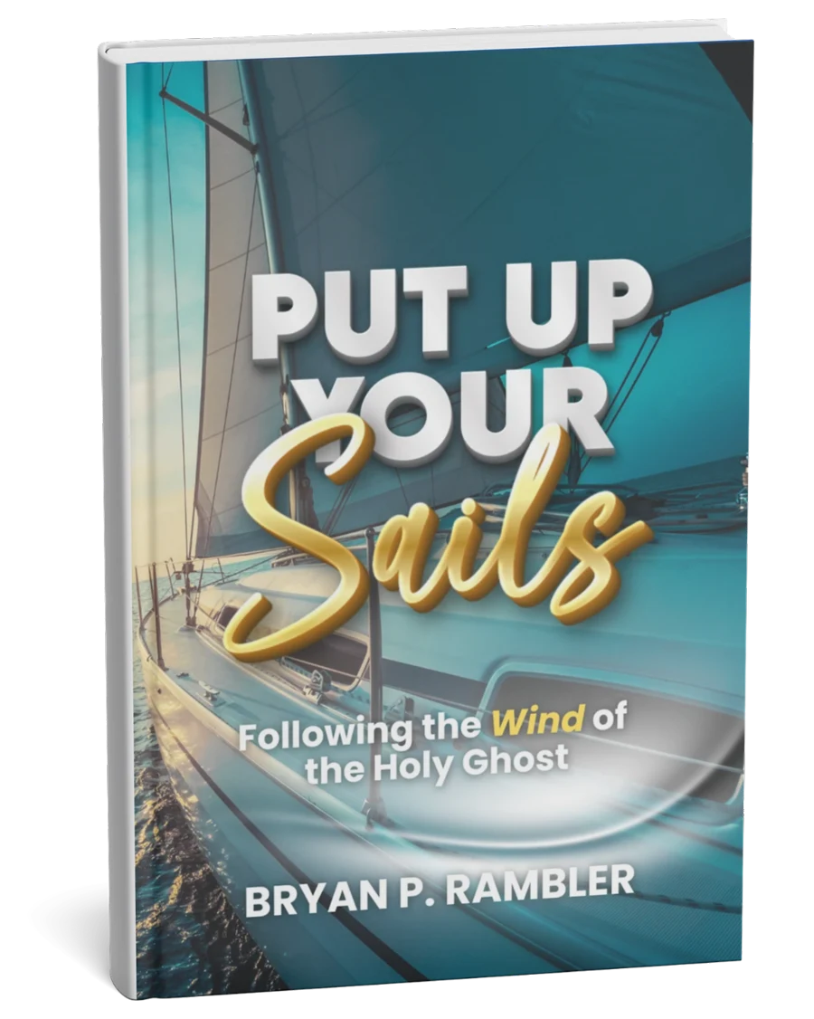Cover of Put Up Your Sails! by Bryan P. Rambler